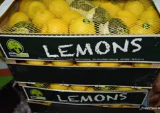 Übersee-Zitronen der Firma Don Limon GmbH.