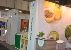 Das Import Promotion Desk fördert u.a. den Vertrieb von Süßkartoffelpflanzen.