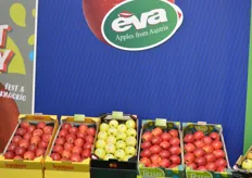 Evelina, Red Hill und Tessa: Drei beliebte Apfelmarken aus steirischem Anbau.