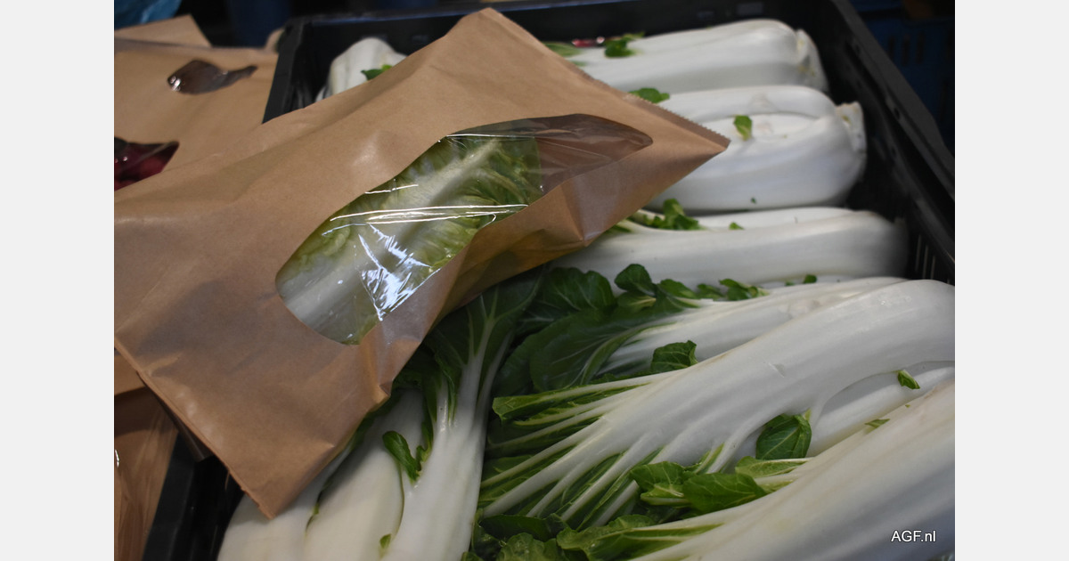 Argos Packaging stellt auf den Testtagen seine NoWPaper Verpackung vor