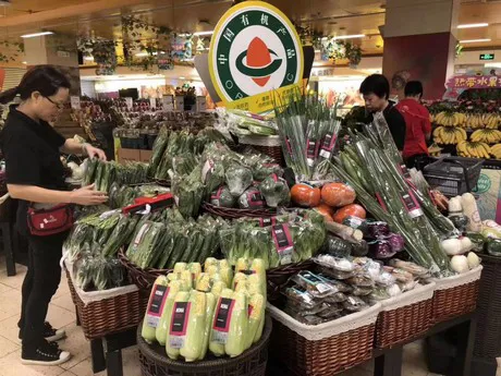 China: Der Online-Shop kurbelt unseren Bio-Gemüseverkauf an