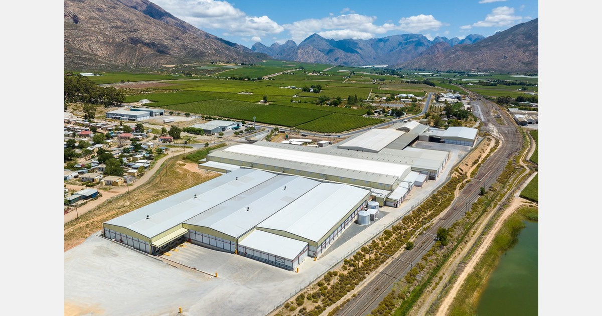 Den Widrigkeiten trotzen, um HexTrauben in die Welt zu bringen