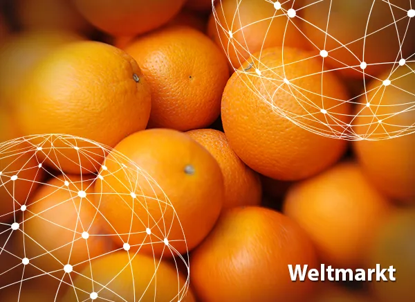 Übersicht Weltmarkt Orangen