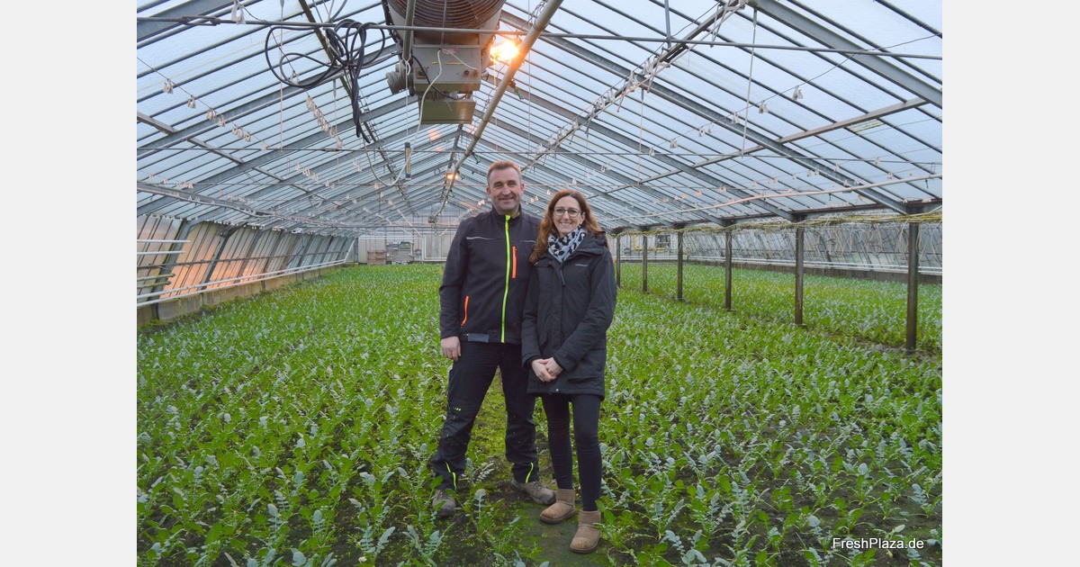 &amp;quot;Wir haben nun erstmalig Landgurken im Gewächshaus angepflanzt&amp;quot;