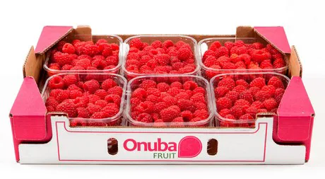 Resultado de imagen de onubafruit freshplaza frambuesas y fresas