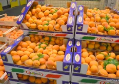 Italienische Aprikosen werden ergänzend zum spanischen und französischen Grundsortiment gehandelt. 