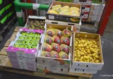Carambole bzw. Sternfrüchte (links) und Mangostan gehören mit zu den ausgefallen Exoten für den Premium-Markt.