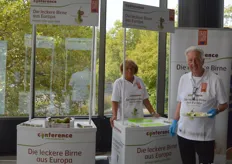 Die Conference-Birne gilt bereits seit Jahren als beliebteste Birne Deutschlands. Flächenmäßig wird die Birne jedoch vor allem in Belgien sowie den Niederlanden angebaut. 