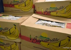 Bananen aus der Dominikanischen Republik.