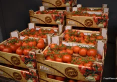 Elite-Tomaten dürfen auch in Hannover nicht fehlen.
