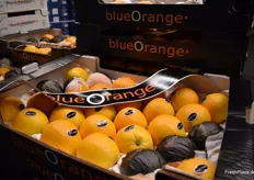 Südafrikanische Orangen