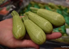 Mini-Zucchini