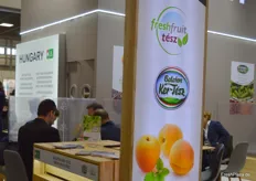 freshfruit Tész ist ein genossenschaftliches Exportunternehmen aus Südungarn und vermarktet u.a. Steinobst.