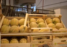 Melonen von der Euro-Fruit GmbH