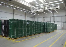 Unter dem Namen FruPaRi GmbH (Frucht-Packstation Ringen) betreibt die Frutania-Gruppe eine Sortier- und Packstation. Hier wird tagtäglich in drei Schichten Kern-, Beeren- und Steinobst aus dem In- und Ausland aufbereitet, verpackt und disponiert. Das Gros des Warenumschlags beläuft sich auf den eigenen Handelsbetrieb. Man tritt aber zudem auch als Service-Dienstleister für Dritte auf.