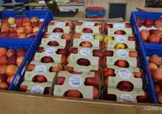 Regionale Äpfel in nachhaltiger Verpackung