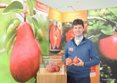 Dr. M. Neumüller des Bayerischen Obstzentrums zeigt die rote Birnenzüchtung Alessia. Die relativ neue Sorte wird Ende September geerntet und die bisherige Verkaufsraten sind vielversprechend, so Neumüller