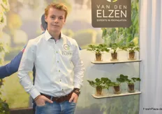 Joep Blom von Van den Elzen Pflanzen: Außer den neuen Erdbeersorten wie Limalexia und Sonsation glaubt das Unternehmen auch ans Potenzial der neuen Himbeere Lagorey Violet