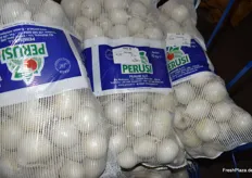 Weiße Zwiebeln aus italienischer Produktion