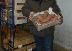 Ismail Güldal des gleichnamigen Großhandels vertreibt u.a. Süßkartoffeln aus regionalem Anbau.