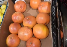 Zitrus-Früchte werden momentan in großen Mengen verhandelt