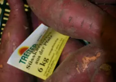 Süßkartoffeln aus der Pfalz sind zwar ein Nischenartikel, finden allerdings flott ihren Weg in den regionalen Großhandel. 