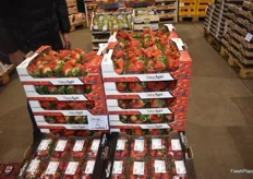 Italienische Erdbeeren kommen jetzt vermehrt nach Deutschland.