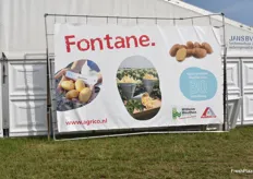 Fontane, eine bewährte Pommes-Sorte aus dem Agrico-Katalog.
