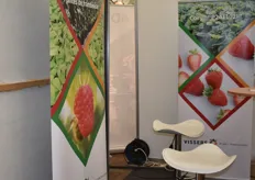 Vissers Plant Innovators aus Niederlande bedient den Erwerbsgartenbau mit modernen Himbeer- und Erdbeersorten.