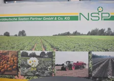 Die Norddeutsche Saaten Partner GmbH & Co KG (NSP) liefert Saatgut an die norddeutsche Kartoffelwirtschaft.
