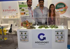 Agexport ist ein Exportunternehmen mit Sitz in Guatemala: Die Firma vertreibt Frischgemüse aus heimischem Anbau (u.a. Hülsenfrüchte, Mini-Gemüse) sowie Säfte und TK-Kost. 