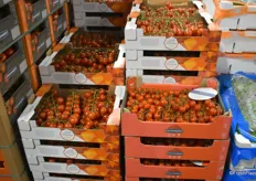 Frische Prominent-Tomaten aus niederländischem Anbau am Stand des Aysa Lebensmittel Großhandels. 