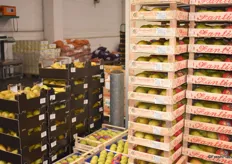 Das italienische Birnensortiment am Stand von Faby Fruchtgroßhandel.