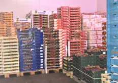 Fruchtspezialitäten aus der Türkei sind eins der Spezialgebiete der NHD Fruchtimport GmbH. 