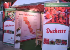 Sweet Ann und Duchesse, 2 innovative Erdbeersorten des Pflanzenvermehrers Kaack.