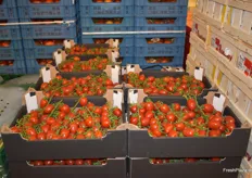Tomaten bezieht Suntat aus verschiedenen Ländern. 